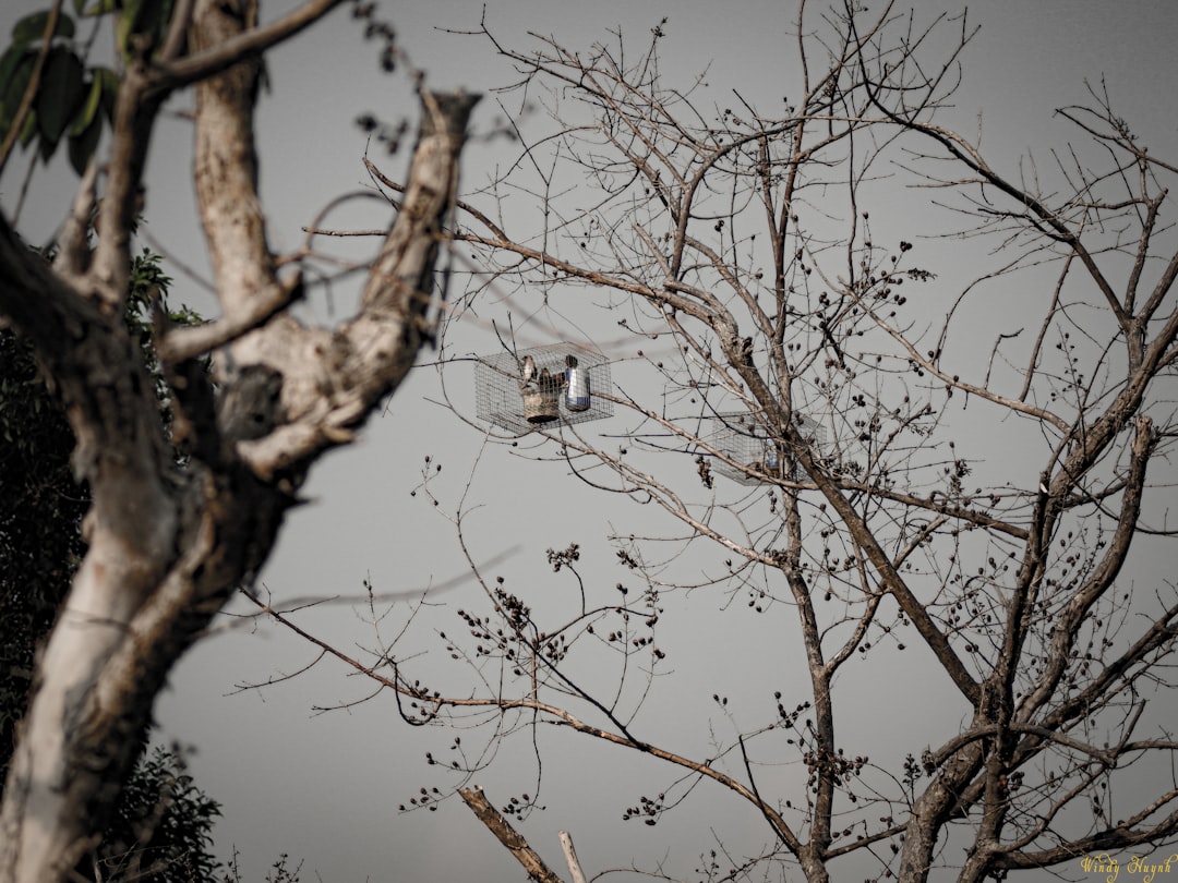 【無料 おすすめ】 『舞台ぼっち』2026 RE:boot ライブ配信決定 – アニメイトタイムズ （自動投稿・他サイトに飛びます）