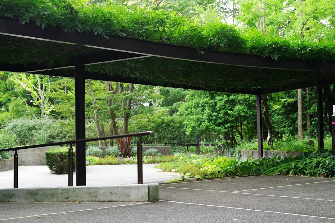 【無料 おすすめ】 ボタニカルを愛でたい 2月2日(月)放送分 植物多様性センター｜バラエティ – TVer （自動投稿・他サイトに飛びます）